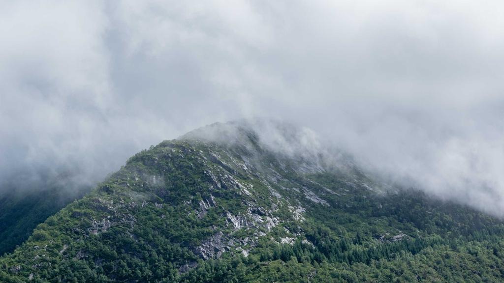 희귀질환 산정특례 대상 자격조건