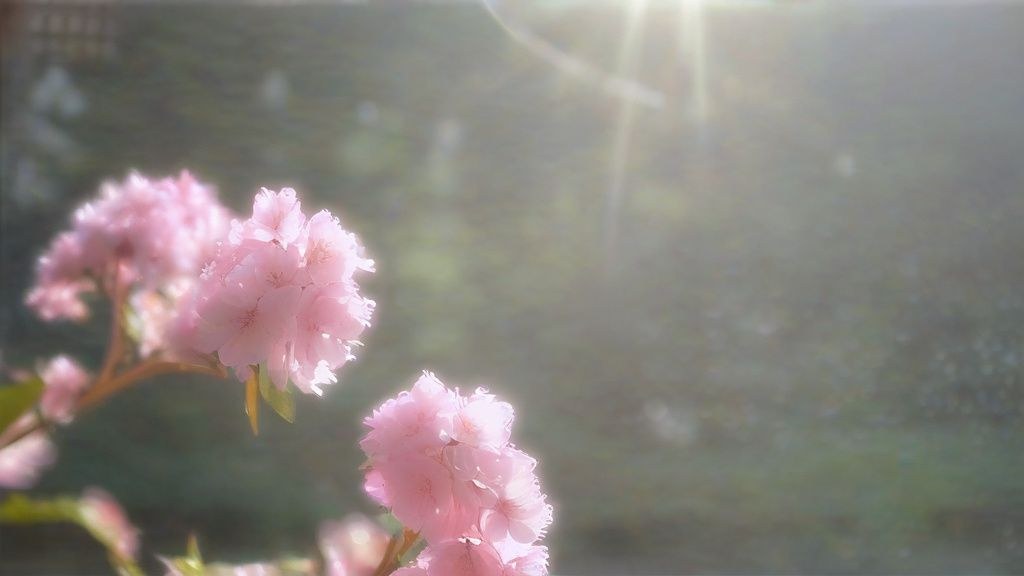 한국 가정집 거실 테이블 위 삼성 갤럭시 탭 A9+ 태블릿 PC와 커피잔